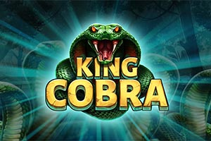 King Cobra