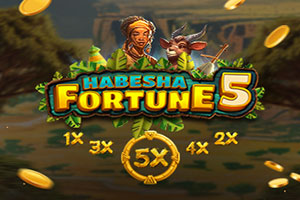 Habesha Fortune 5